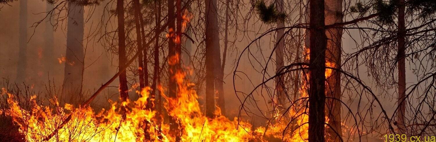 На Житомирщині оголошено надзвичайну та високу пожежну небезпеку