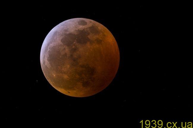 Рідкісне затемнення Місяця: о котрій сьогодні спостерігати у Звягелі